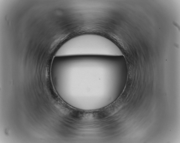 X0000095940740200801110854
