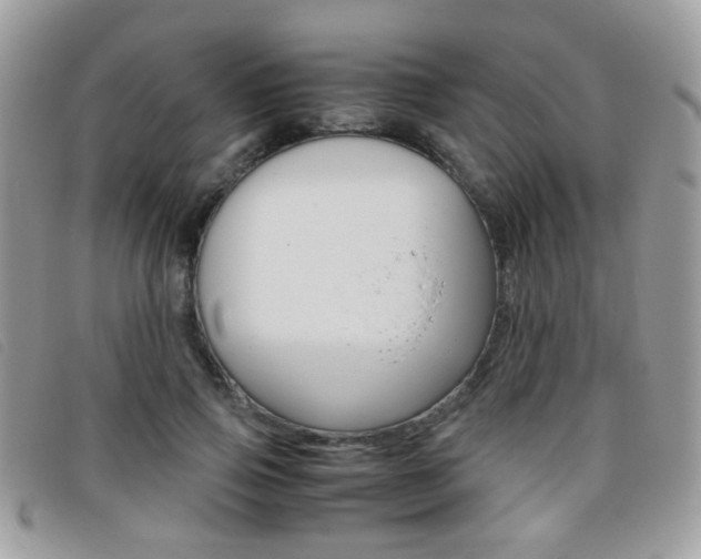 X0000095940741200801110854
