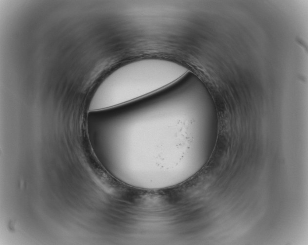X0000095940742200801110854