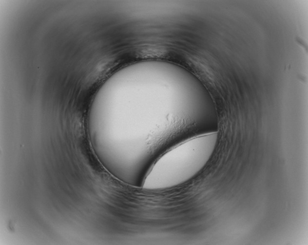 X0000095940743200801110854