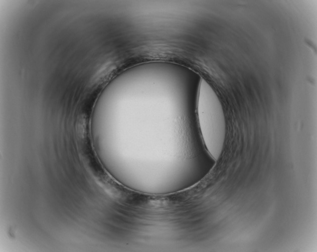 X0000095940744200801110854