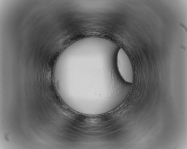 X0000095940745200801110854