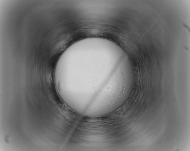 X0000095940746200801110854