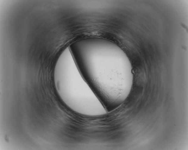 X0000095940747200801110854