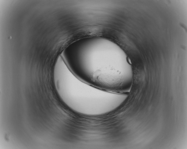 X0000095940748200801110854