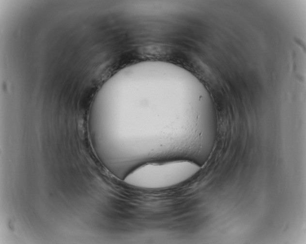 X0000095940749200801110854