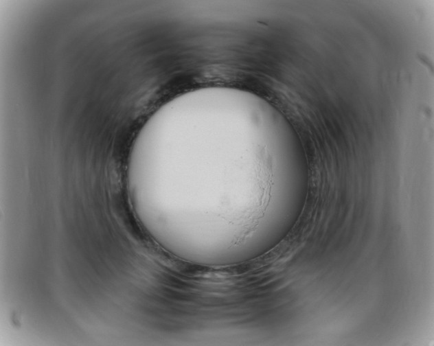 X0000095940751200801110854