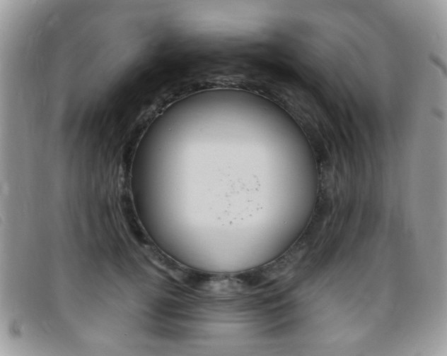 X0000095940752200801110854