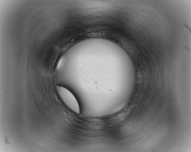 X0000095940753200801110854