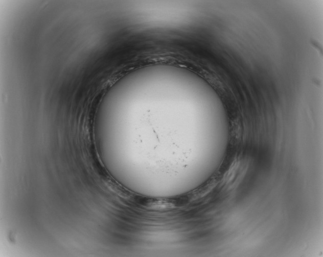 X0000095940754200801110854