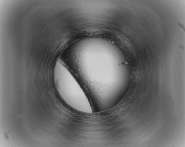 X0000095940756200801110854