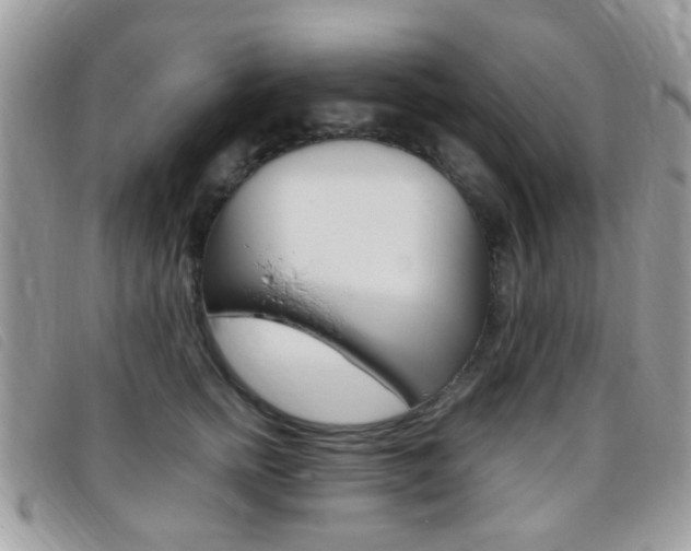 X0000095940758200801110854
