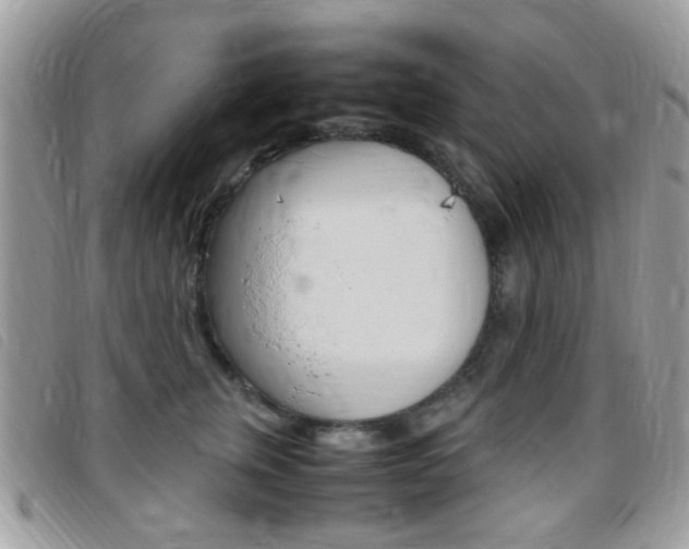 X0000095940759200801110854