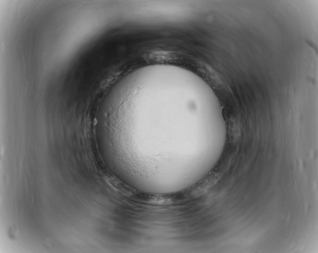 X0000095940760200801110854