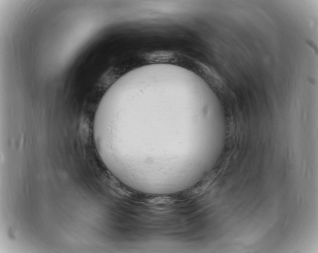X0000095940761200801110854