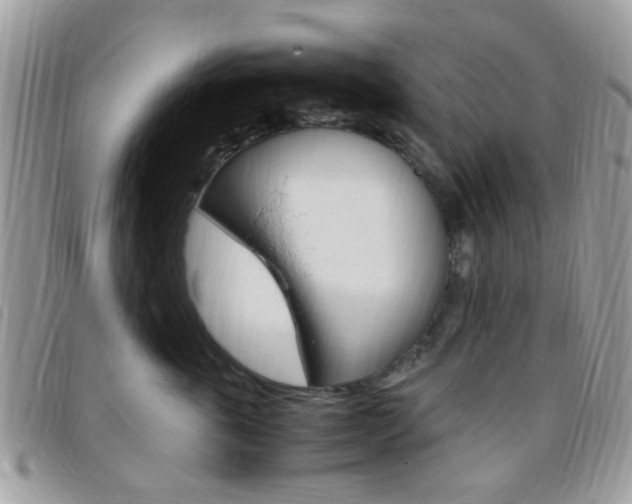 X0000095940763200801110854