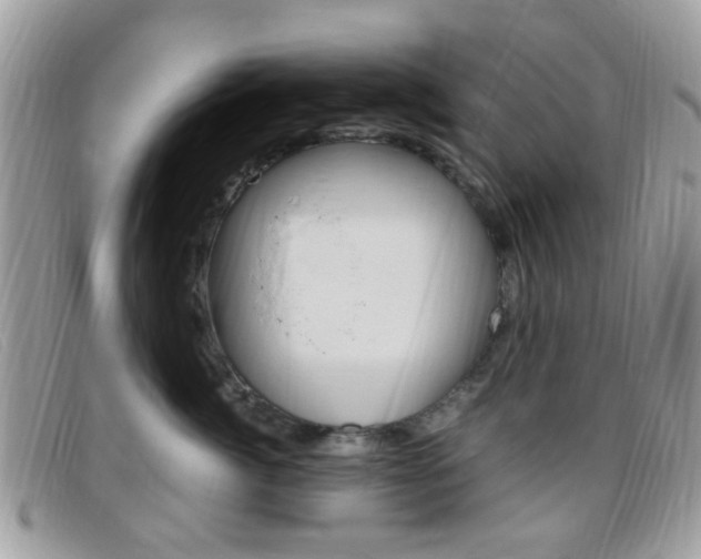 X0000095940764200801110854