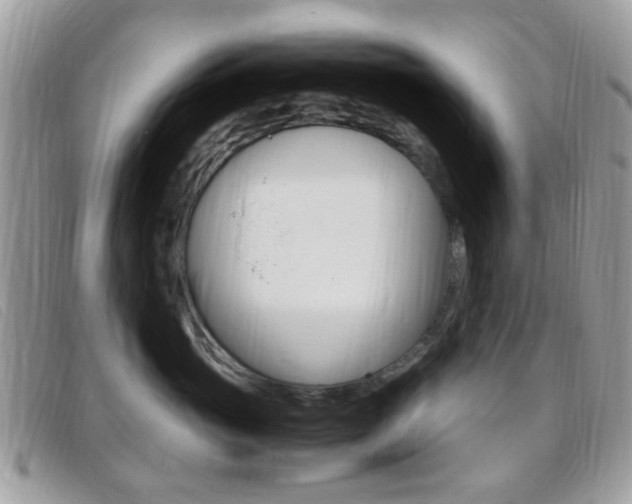 X0000095940765200801110854