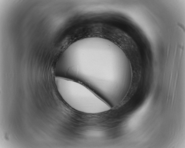 X0000095940767200801110854