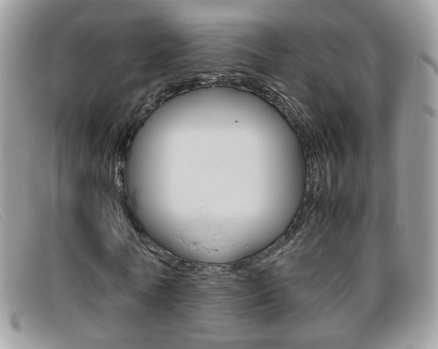 X0000095940770200801110854