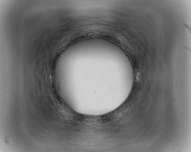 X0000095940771200801110854