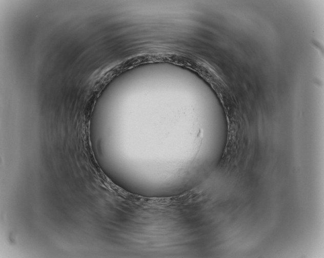 X0000095940773200801110854