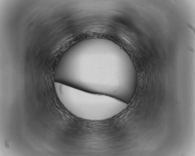 X0000095940774200801110854