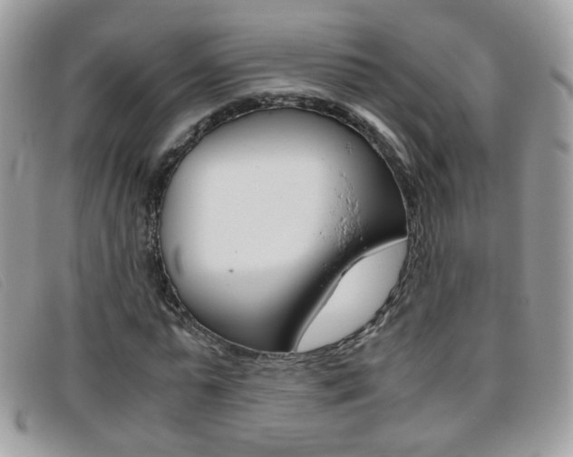 X0000095940775200801110854
