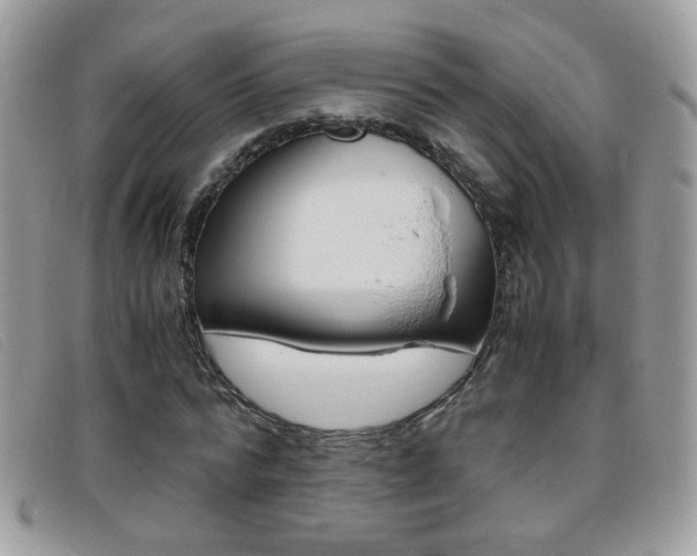 X0000095940776200801110854