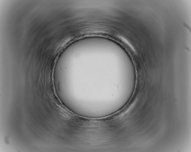 X0000095940777200801110854