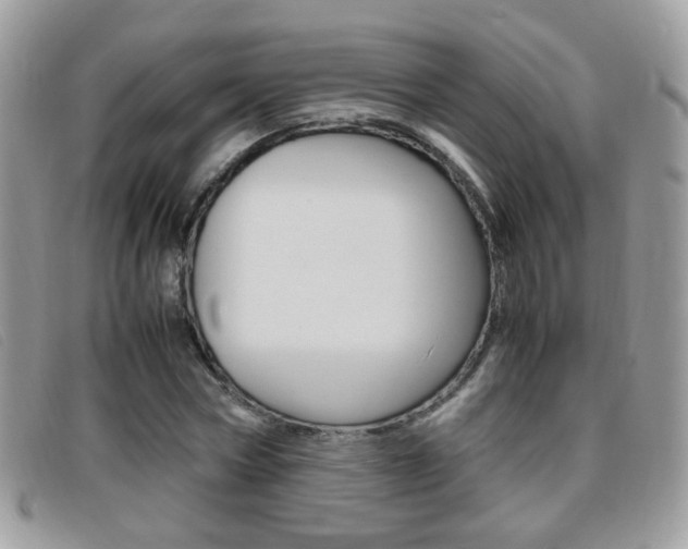 X0000095940778200801110854