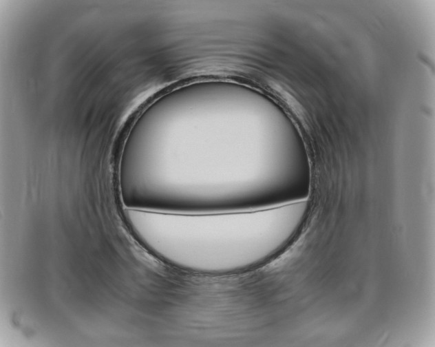 X0000095940779200801110854