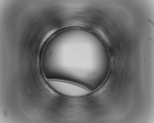 X0000095940780200801110854