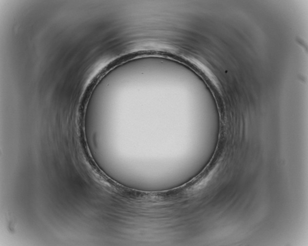 X0000095940783200801110853