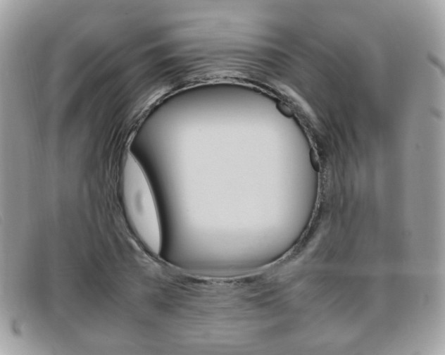 X0000095940785200801110853
