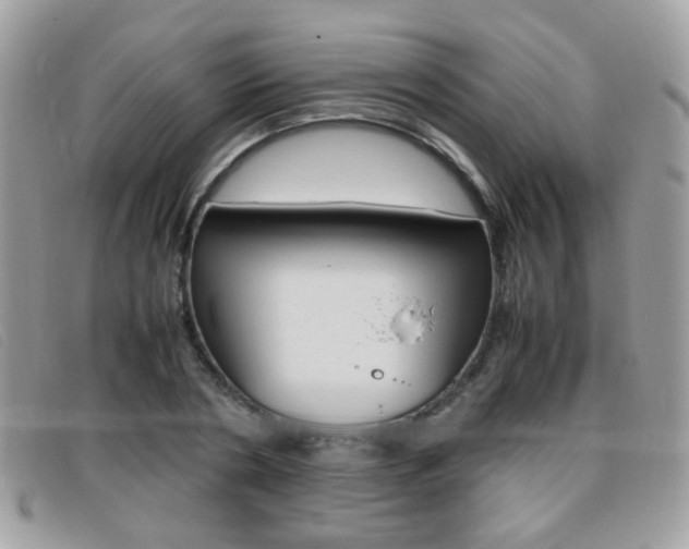 X0000095940786200801110853