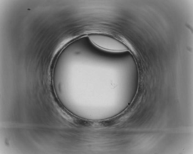 X0000095940787200801110853