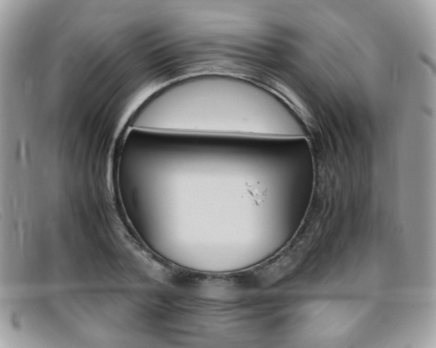 X0000095940788200801110853