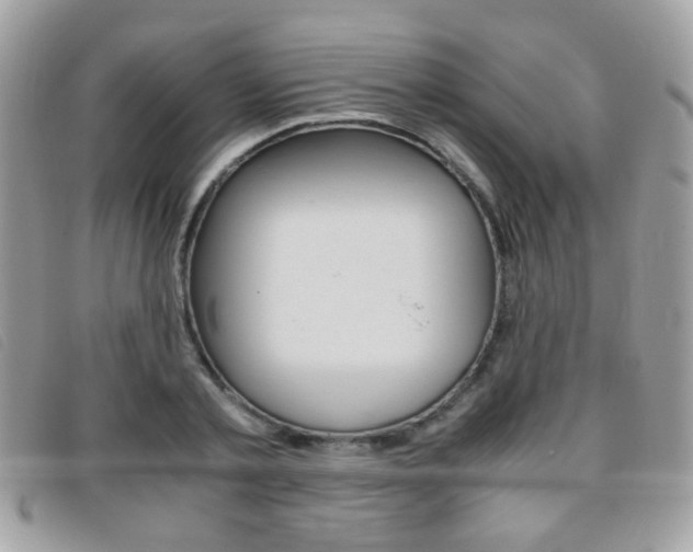 X0000095940789200801110853