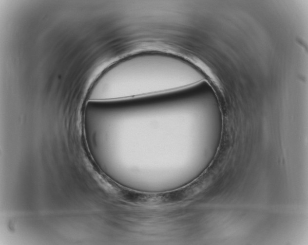 X0000095940791200801110853
