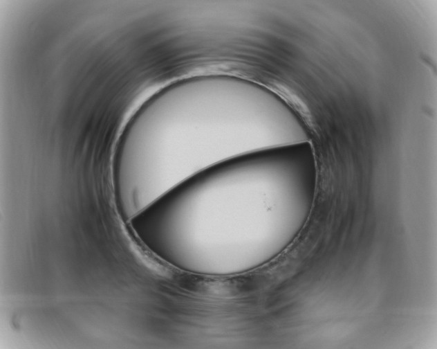 X0000095940792200801110853