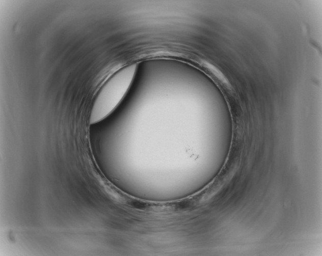 X0000095940793200801110853