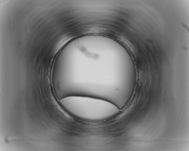 X0000095940794200801110853