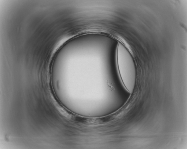 X0000095940795200801110853