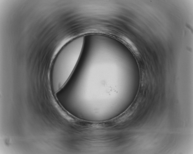 X0000095940796200801110853