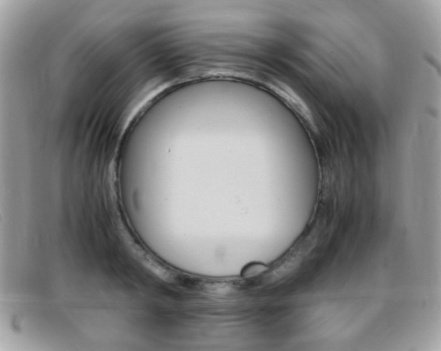 X0000095940798200801110853