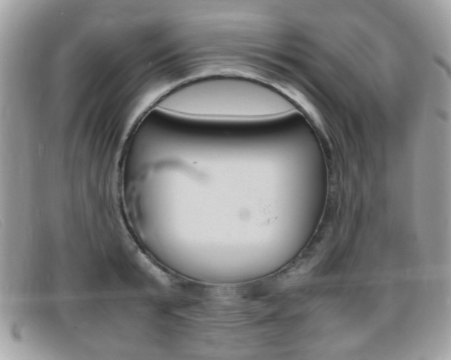X0000095940799200801110853