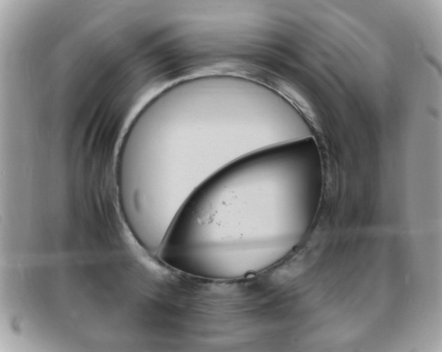 X0000095940800200801110853