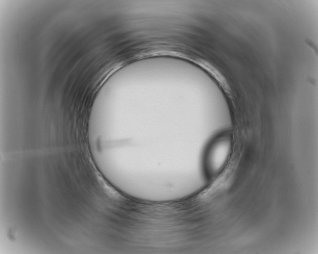 X0000095940801200801110853