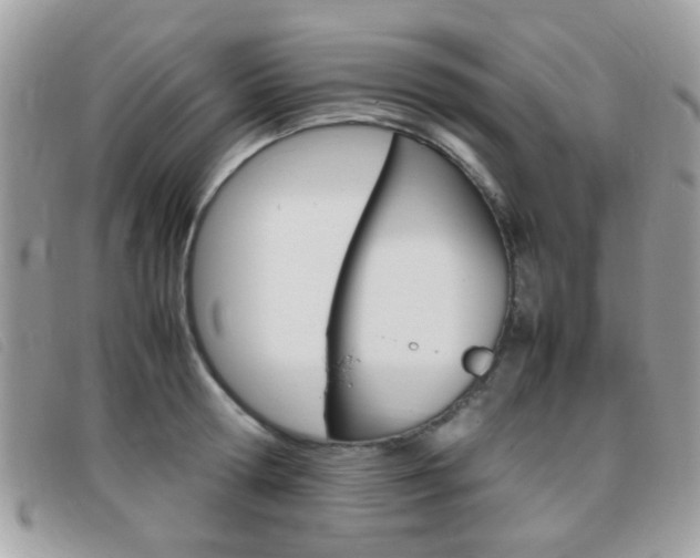 X0000095940802200801110853